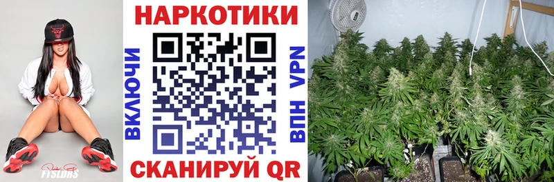 Конопля Жуков