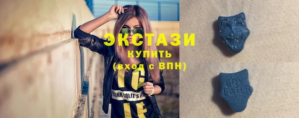 сатива Вяземский