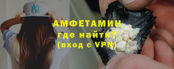 сатива Вяземский