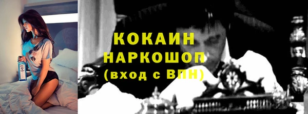сатива Вяземский
