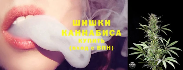 сатива Вяземский