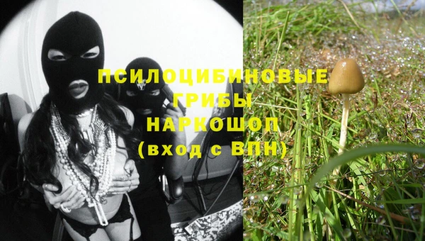 индика Володарск