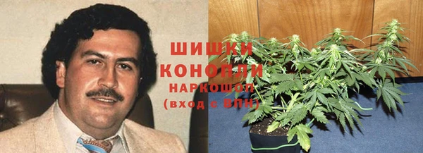 сатива Вяземский